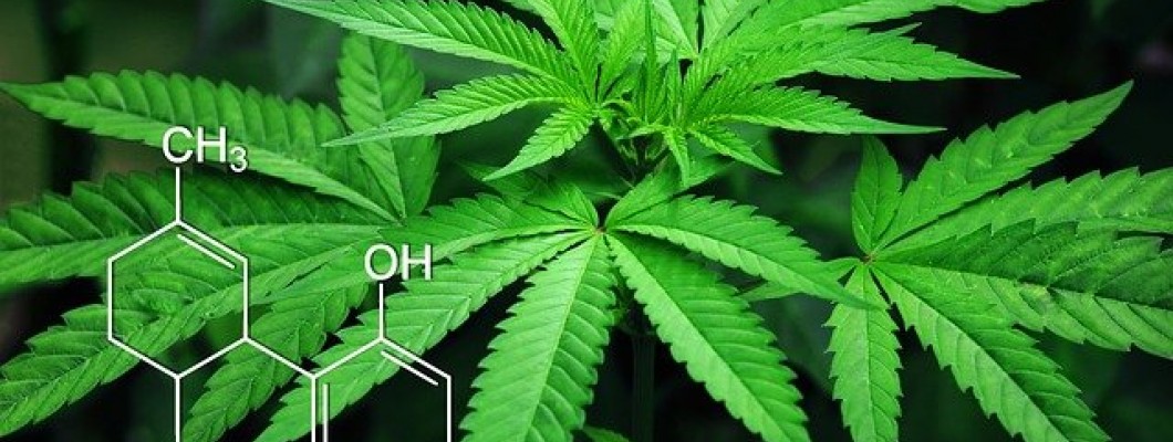 Was ist der ärztliche Cannabis