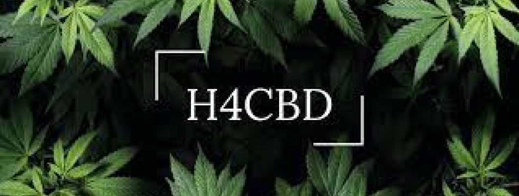 H4CBD - Was ist diese neue Verbindung? Wie sicher ist es? Wofür ist H4CBD gut? Ist es legal?