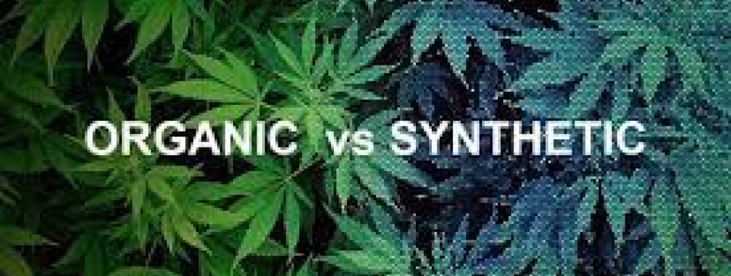 Was ist synthetisches CBD? Gibt es einen Zusammenhang zwischen synthetischem Marihuana und synthetischem CBD? Wir werden untersuchen, was synthetisches CBD tatsächlich bedeutet, welche Vorteile es bringen kann und worauf zu achten ist.